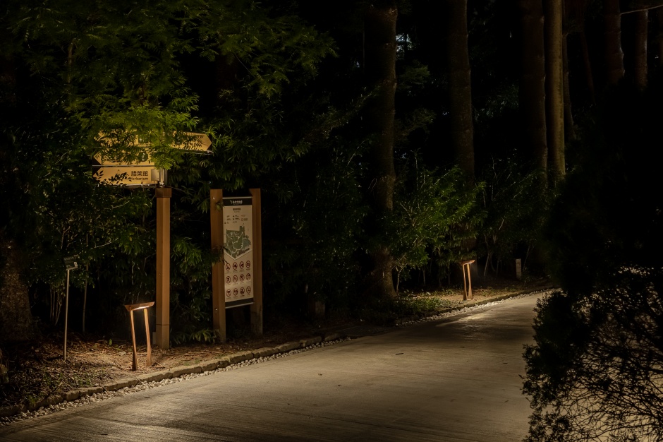 小檔台北植物園植光步道(請標註中強光電文化藝術基金會提供、丰宇影像攝影) (5)當走進植物園，緩下腳步的節奏，視覺的「暗適應」會在過程中逐漸舒展開來。