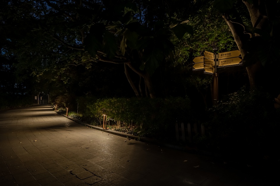小檔台北植物園植光步道(請標註中強光電文化藝術基金會提供、丰宇影像攝影) (7)優化後的光環境，能展現適當的照明機能兼具環境融合的夜間美學