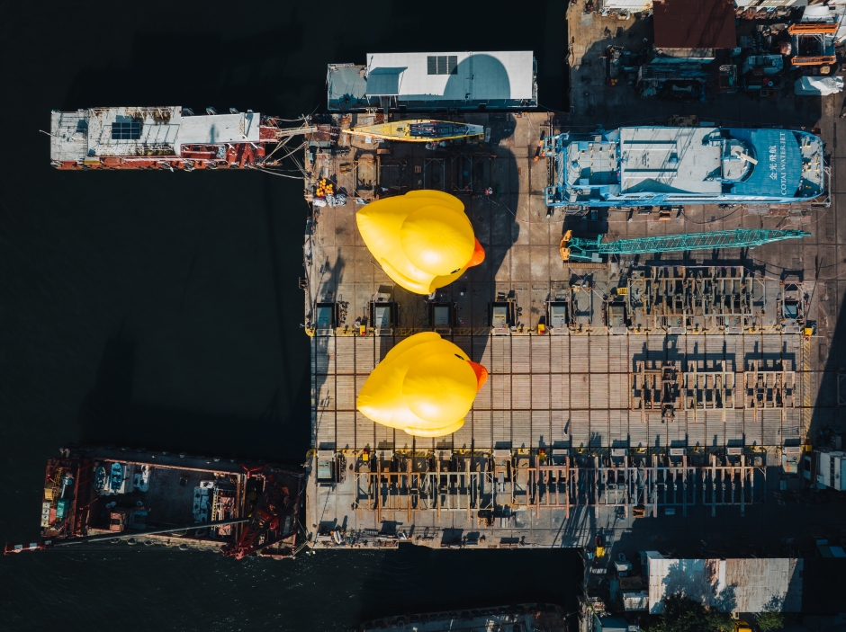 黃色小鴨香港維多利亞港_04