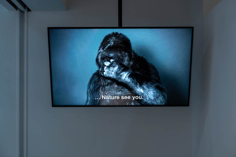 Erik Bünger_Nature See You 特寫