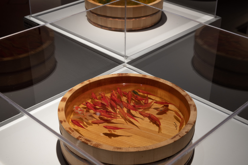 「跳出格子吧!」特展「材料超展開」藝術家深堀隆介展區。 (2) 「跳出格子吧!」特展「材料超展開」藝術家深堀隆介展區。 (2)