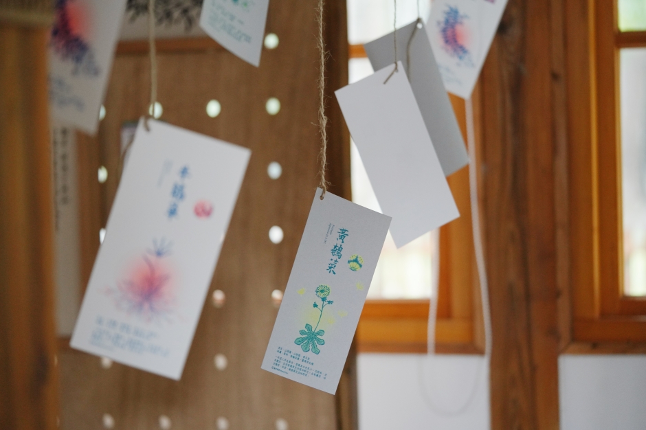 嘉義樹木園嘉義公園_平凡製作_城市公園野草學：嘉義當代採集創作_03