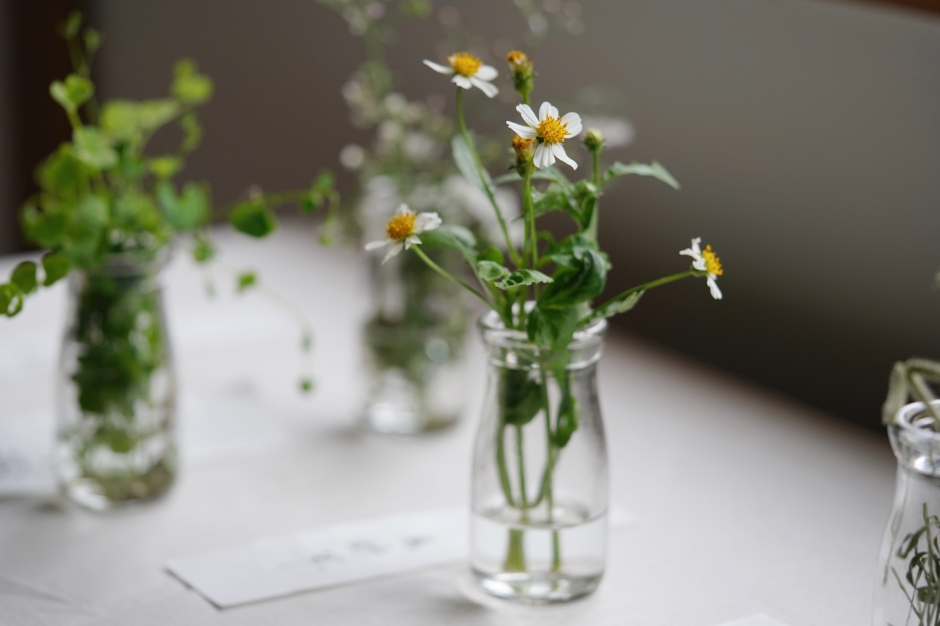 嘉義樹木園嘉義公園_平凡製作_城市公園野草學：嘉義當代採集創作_07