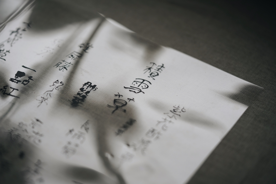 嘉義樹木園嘉義公園_平凡製作_城市公園野草學：嘉義當代採集創作_05