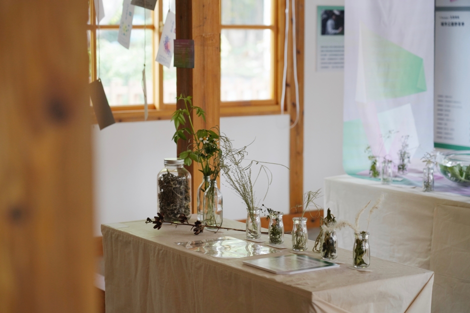 嘉義樹木園嘉義公園_平凡製作_城市公園野草學：嘉義當代採集創作_02