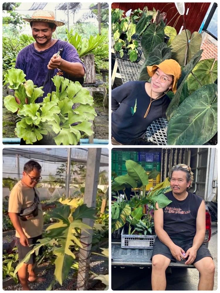 2023台灣第一植物界：花見植狩_台中世貿_樹園藝_05