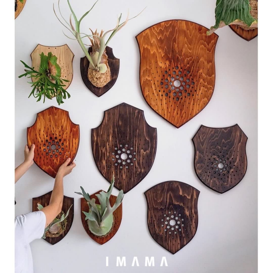 2023台灣第一植物界：花見植狩_台中世貿_樹園藝_04