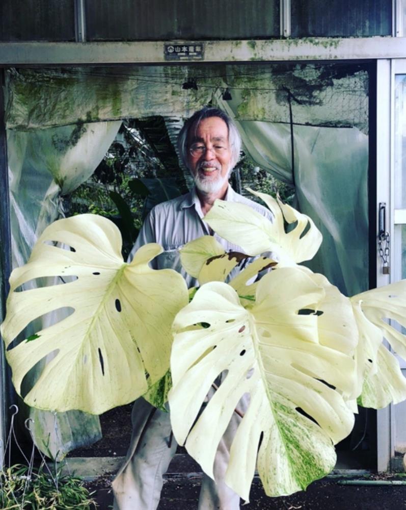 2023台灣第一植物界：花見植狩_台中世貿_樹園藝_09