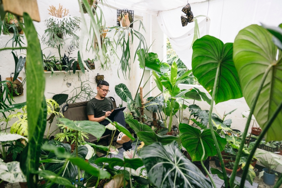 2023台灣第一植物界：花見植狩_台中世貿_樹園藝_10