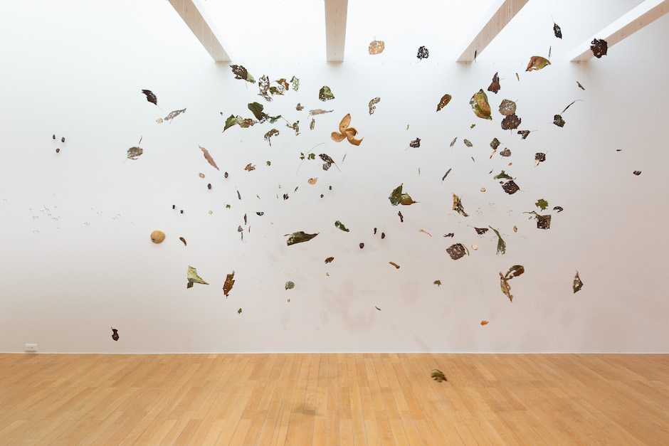 2023台北雙年展作品16-1 2023台北雙年展作品16-1