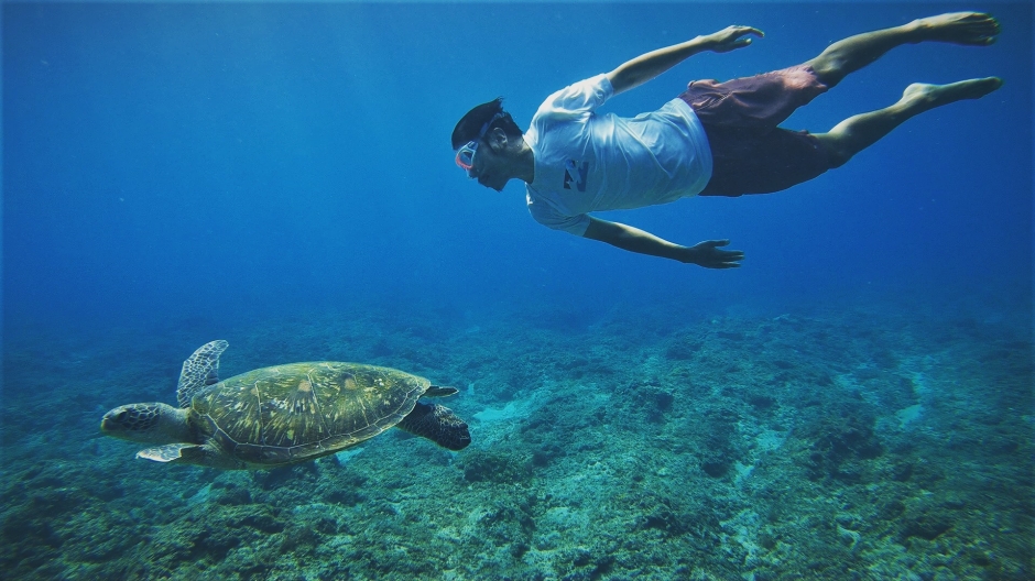 batch_C66C27E0-F085-49B5-A82F-0DFCD738BBEE batch_C66C27E0-F085-49B5-A82F-0DFCD738BBEE