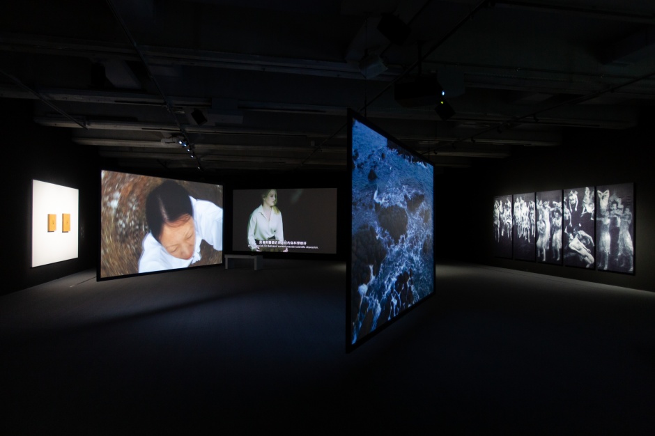 小檔北美館無垠之森15「無垠之森」場景照。 小檔北美館無垠之森15「無垠之森」場景照。