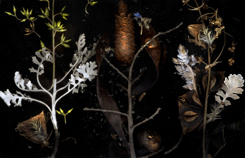 小檔北美館無垠之森10章光和,《巫草七味》,2016,數位輸出,78 x 91 公分,臺北市立美術館典藏。 小檔北美館無垠之森10章光和,《巫草七味》,2016,數位輸出,78 x 91 公分,臺北市立美術館典藏。