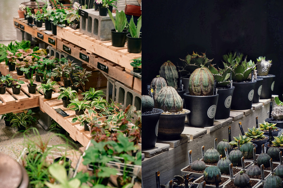 台中艸我的方向走來_FotoJet拷貝2 台中艸我的方向走來_FotoJet拷貝2