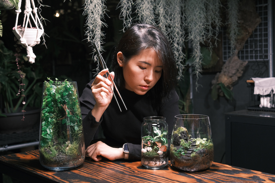 台中艸我的方向走來_手作生態瓶-這位太太愛植物kim提供- 台中艸我的方向走來_手作生態瓶-這位太太愛植物kim提供-