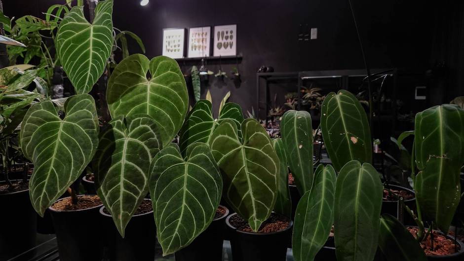 台中艸我的方向走來_主題區-共生制所 Symbiosis 提供2 台中艸我的方向走來_主題區-共生制所 Symbiosis 提供2