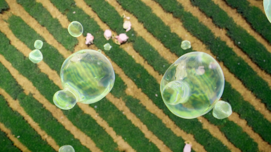 小檔客家電視台全新視覺包裝4. 顏色上以藍、綠、紅色為主,其萃取自代表客家符號的藍染、茶園、竹編。圖為「茶園」畫面 小檔客家電視台全新視覺包裝4. 顏色上以藍、綠、紅色為主,其萃取自代表客家符號的藍染、茶園、竹編。圖為「茶園」畫面