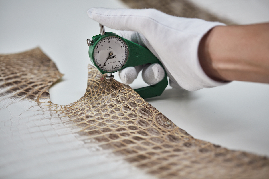 Checking the size and the thickness of the skins