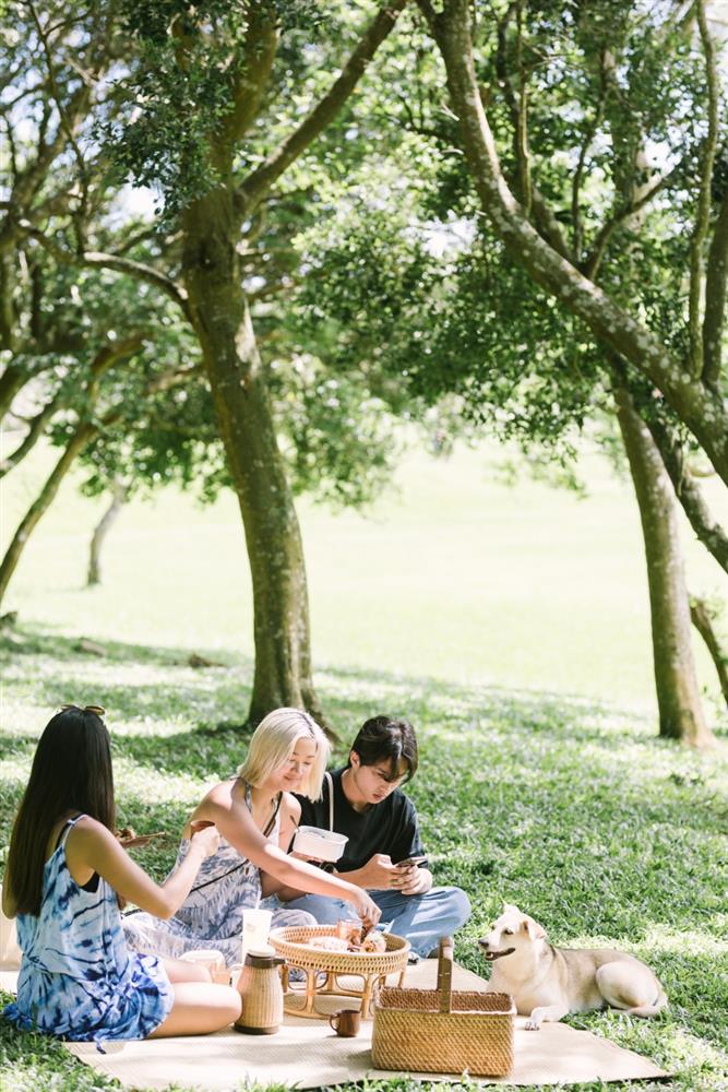 小檔半島花花生活節在社頂公園的繁盛大樹下野餐,是半島的日常生活(火箭人實驗室提供) 小檔半島花花生活節在社頂公園的繁盛大樹下野餐,是半島的日常生活(火箭人實驗室提供)