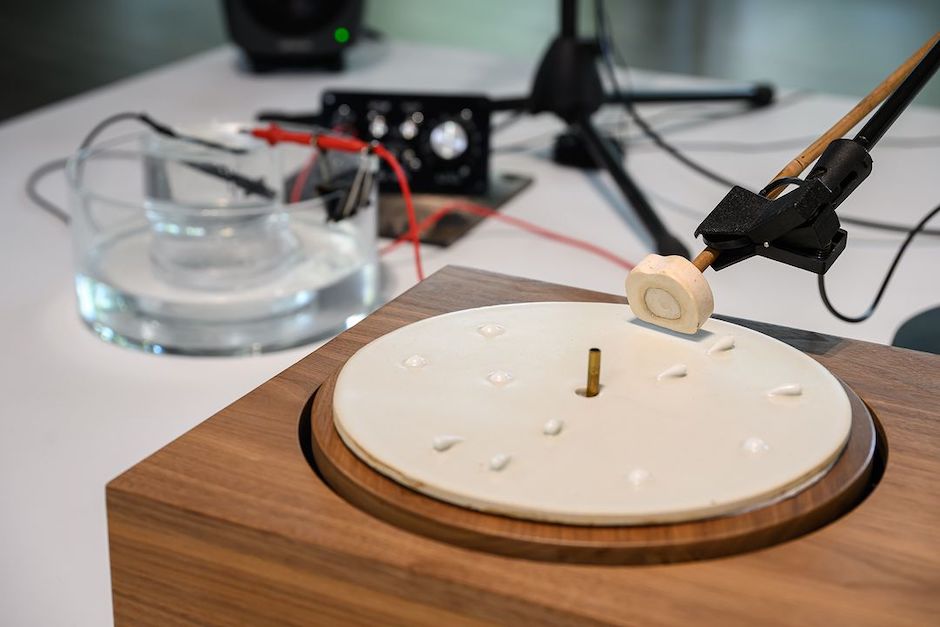 361913923_655032583325758_6927404213525488550_n