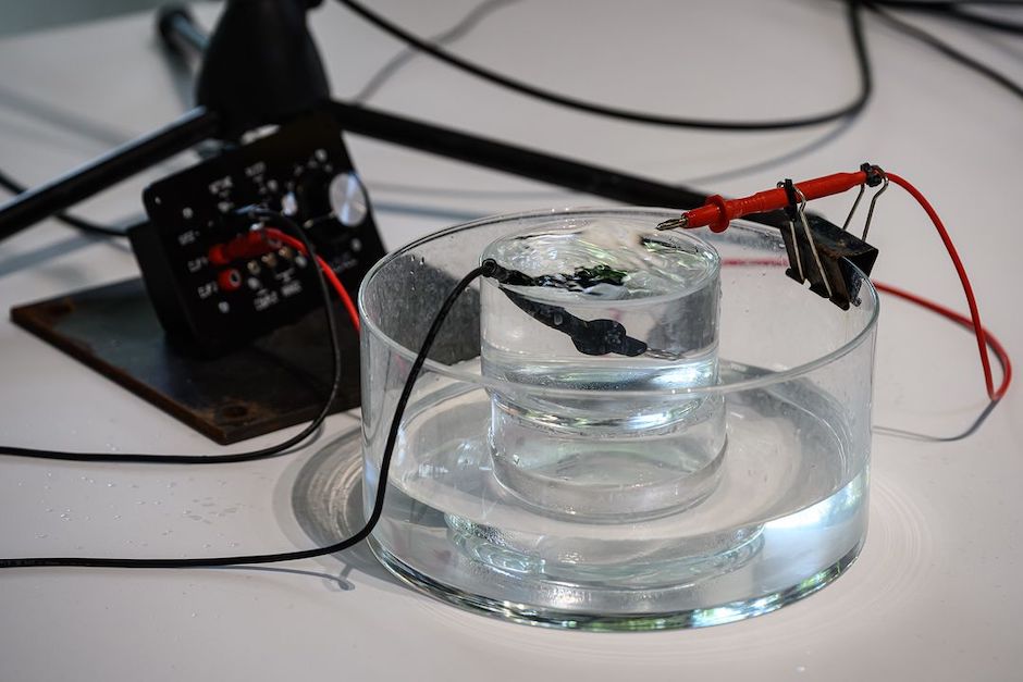 362248786_655032659992417_7155412765699430296_n