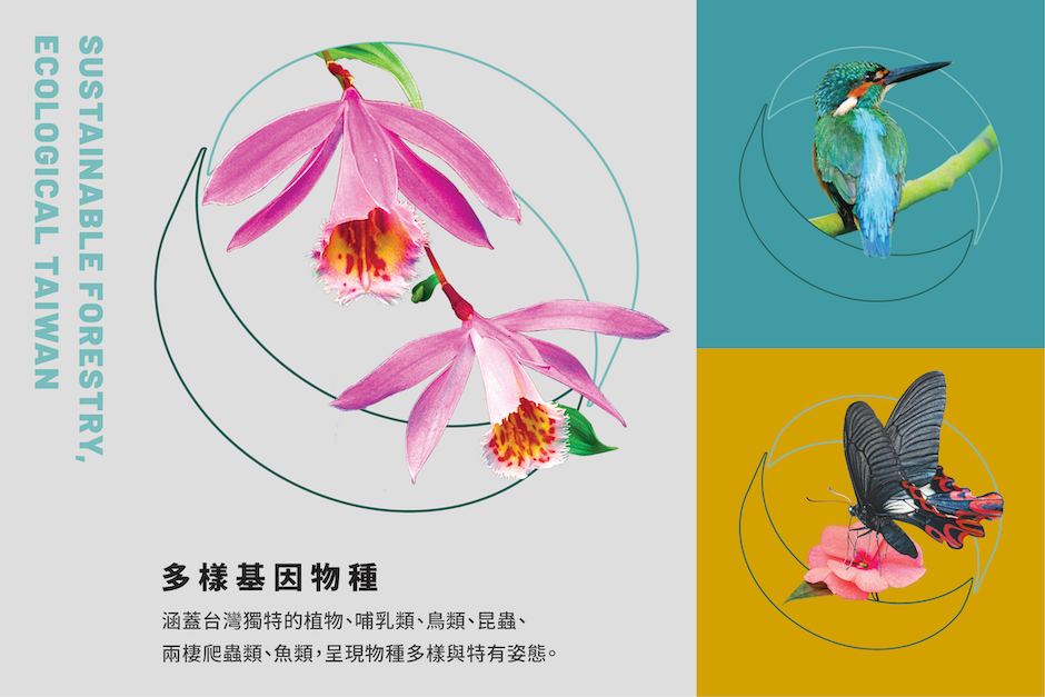 囍樹設計_林業及自然保育署_林務局_品牌識別系統_9