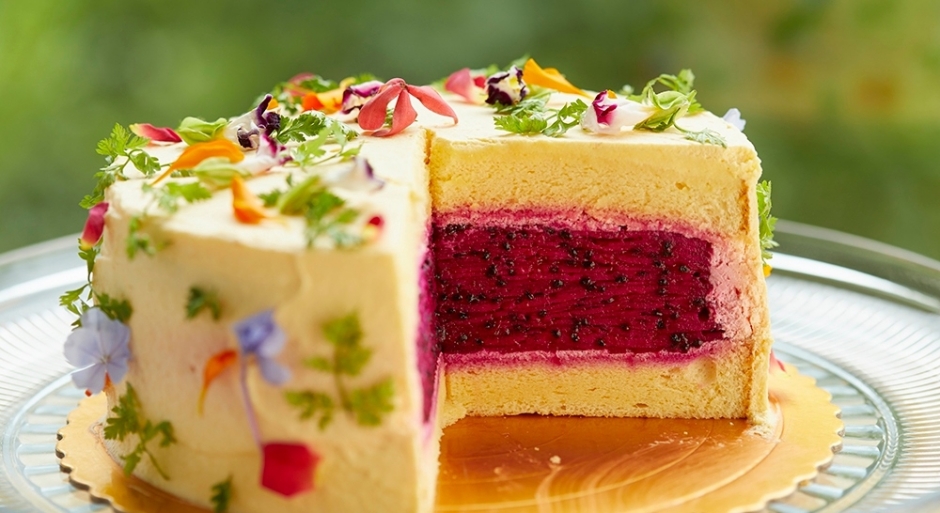 batch_TheOne新聞照片_TheOne自然甜蔬果蛋糕_紅龍果蔬果蛋糕