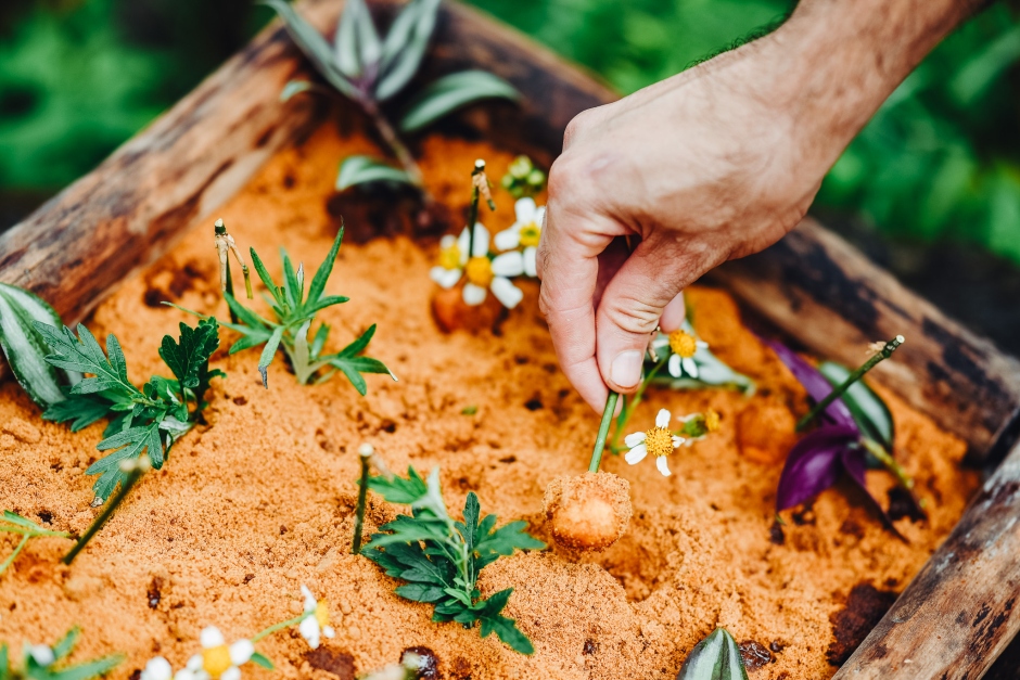 小檔宜蘭頭城五漁村07.圖說：頭城休閒農場的「綠色廚房」（Green Kitchen）呼應品牌的永續理念，以食物設計的方式打造一席「富饒森林饗宴」，為來客呈現一程融入地產食材、食農教育與自然生態的五感之旅。（圖片來源／宜蘭縣政府）