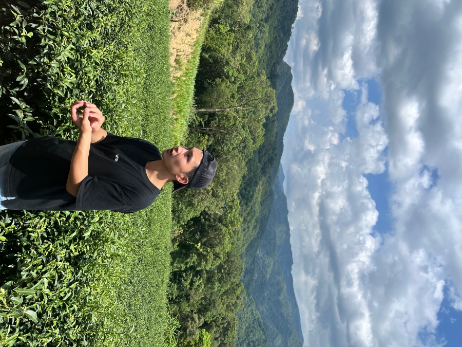 04 「白青長茶作坊」的白俊育為策展團隊解說茶園