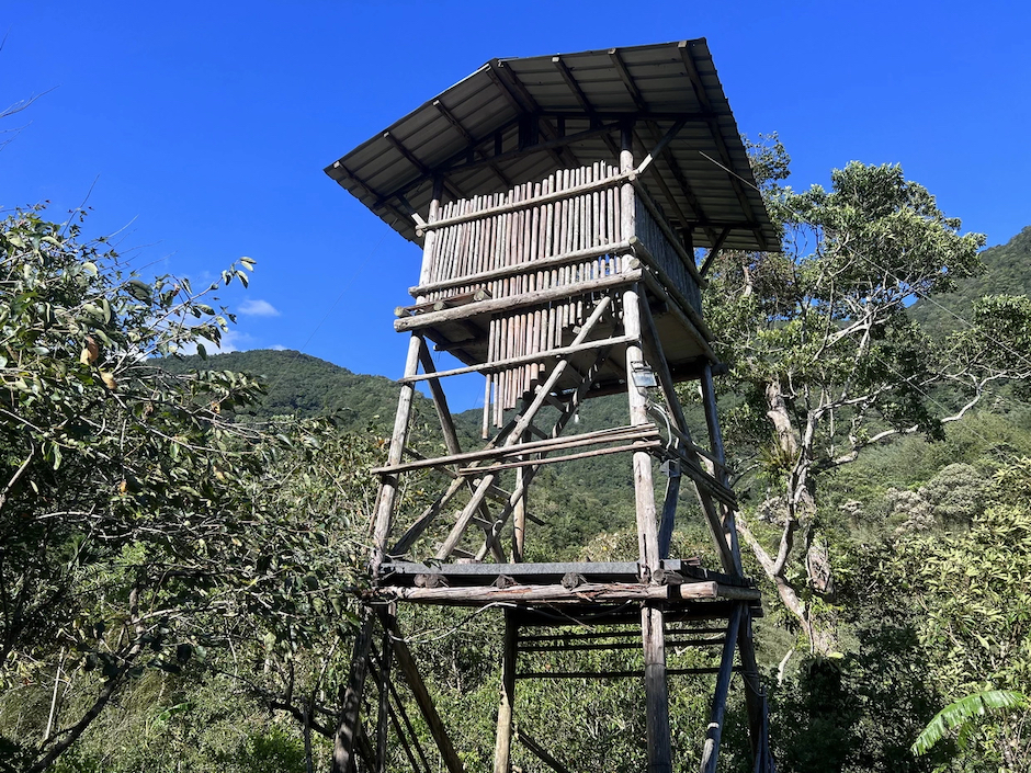 2023打開台北的開放空間：德拉楠文化營拷貝