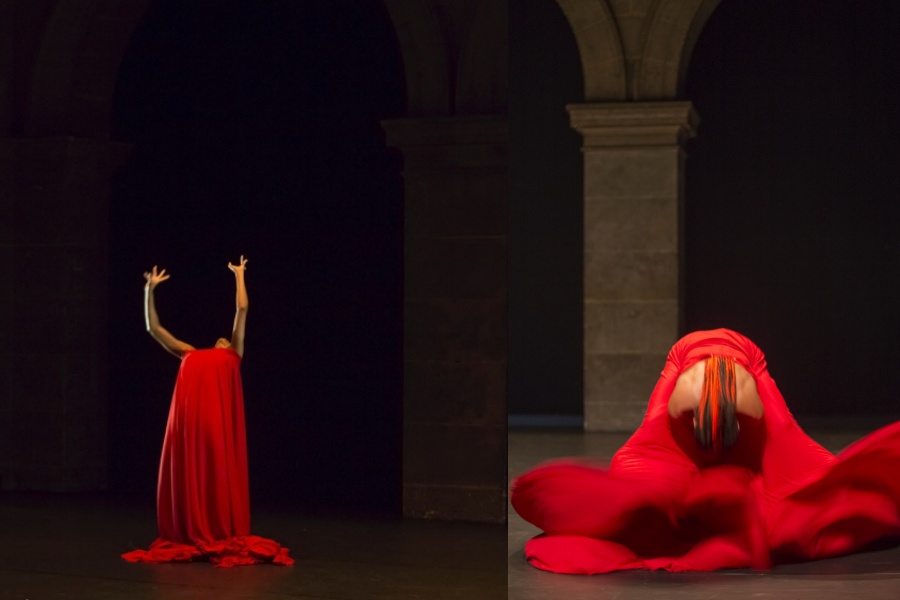 2023 Camping Asia 亮點演出直擊！串聯亞、歐、非藝術家舞出跨域的無限想像