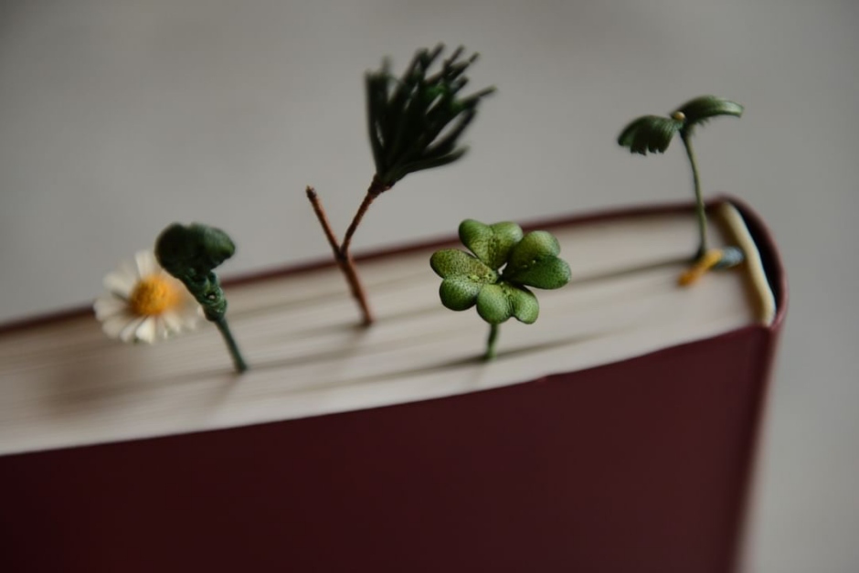 「Thedaywalker 日行者」楊富閔的小說「花甲男孩」為發想，用雙色蕨餅呈現世代間的價值衝突感