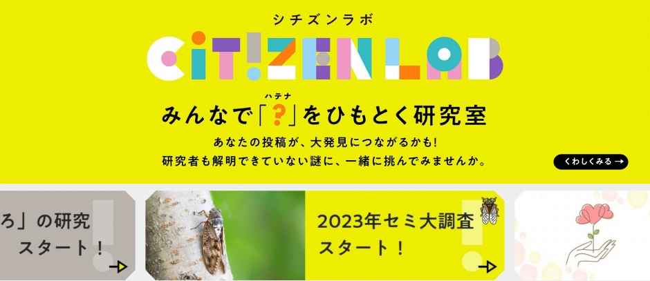 小檔2023年日本GOOD DESIGN AWARD截圖 2023-10-20 上午9.26.20