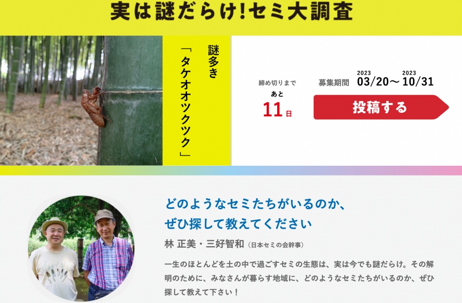 小檔2023年日本GOOD DESIGN AWARD截圖 2023-10-20 上午9.26.56