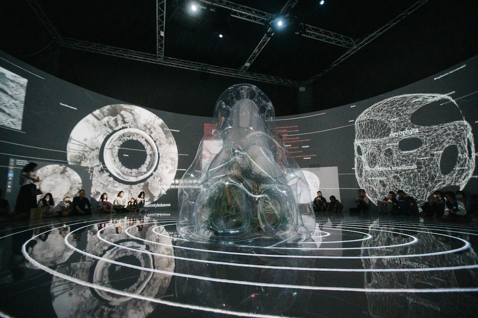 國美館「串流群落：溫室中的溫室」展覽現場3