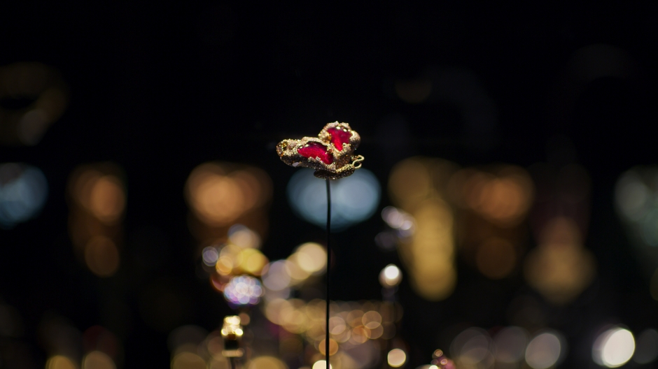 batch_2020年法國巴黎裝飾藝術博物館將紅寶石側飛蝴蝶納為永久館藏