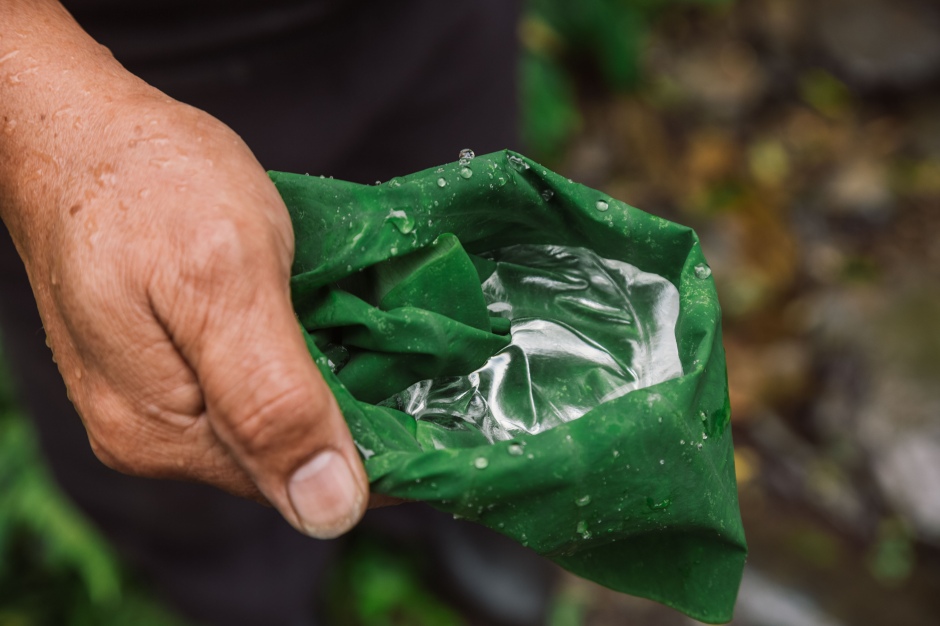 小檔松羅國家步道xtyi032668_張晉瑞攝