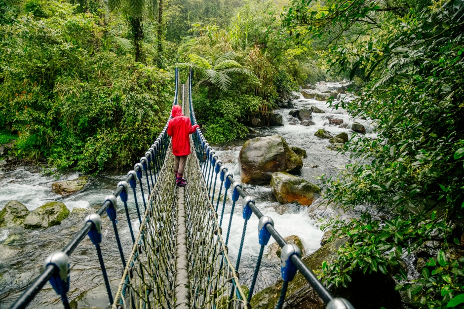 小檔松羅國家步道xtyi024898_張晉瑞攝