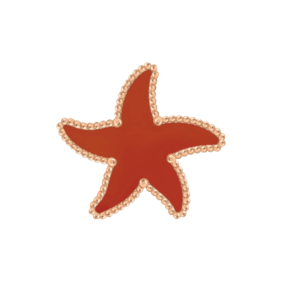 batch_Lucky Summer Starfish胸針 18K玫瑰金,紅碧玉 參考售價NTD179,000元