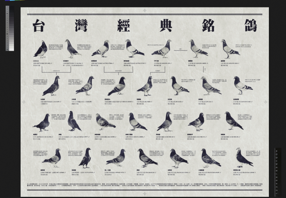 北美館.003 北美館.003