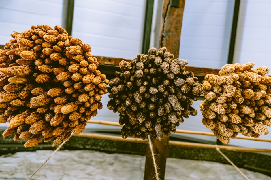 小檔排灣族土坂部落DSCF0590