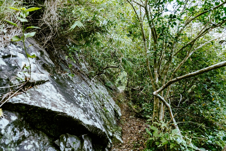 小檔排灣族土坂部落DSCF0937崑崙坳古道與土坂部落早年的家族遷徙史息息相關。