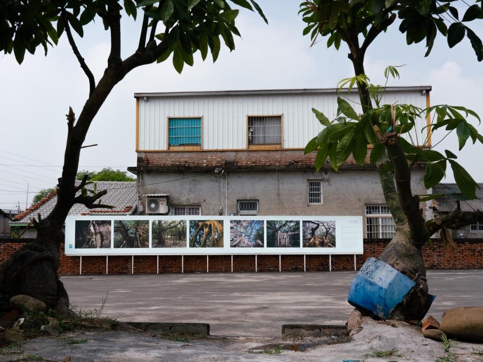 2022Mattauw大地藝術季_曾敏雄〈樹之裘〉