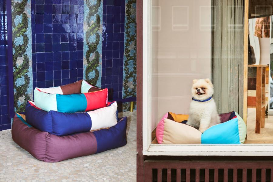 HAY推出寵物用品系列「HAY DOGS」!活潑色彩延續品牌風格、多種尺寸顏色讓每隻狗狗都適用 HAY推出寵物用品系列「HAY DOGS」!活潑色彩延續品牌風格、多種尺寸顏色讓每隻狗狗都適用