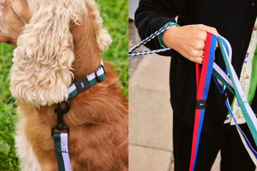 HAY推出寵物用品系列「HAY DOGS」!活潑色彩延續品牌風格、多種尺寸顏色讓每隻狗狗都適用 HAY推出寵物用品系列「HAY DOGS」!活潑色彩延續品牌風格、多種尺寸顏色讓每隻狗狗都適用