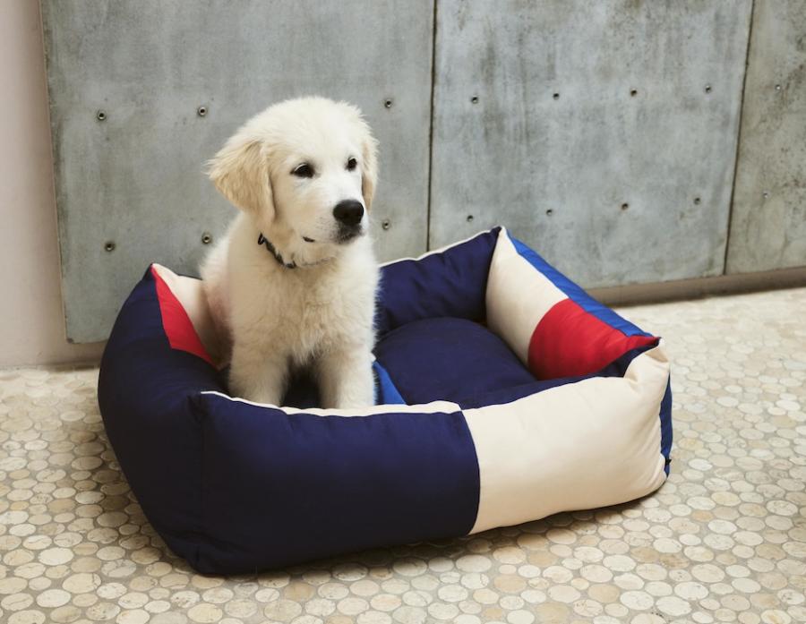 HAY推出寵物用品系列「HAY DOGS」!活潑色彩延續品牌風格、多種尺寸顏色讓每隻狗狗都適用 HAY推出寵物用品系列「HAY DOGS」!活潑色彩延續品牌風格、多種尺寸顏色讓每隻狗狗都適用