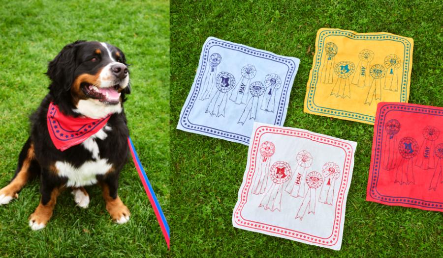 HAY推出寵物用品系列「HAY DOGS」!活潑色彩延續品牌風格、多種尺寸顏色讓每隻狗狗都適用 HAY推出寵物用品系列「HAY DOGS」!活潑色彩延續品牌風格、多種尺寸顏色讓每隻狗狗都適用