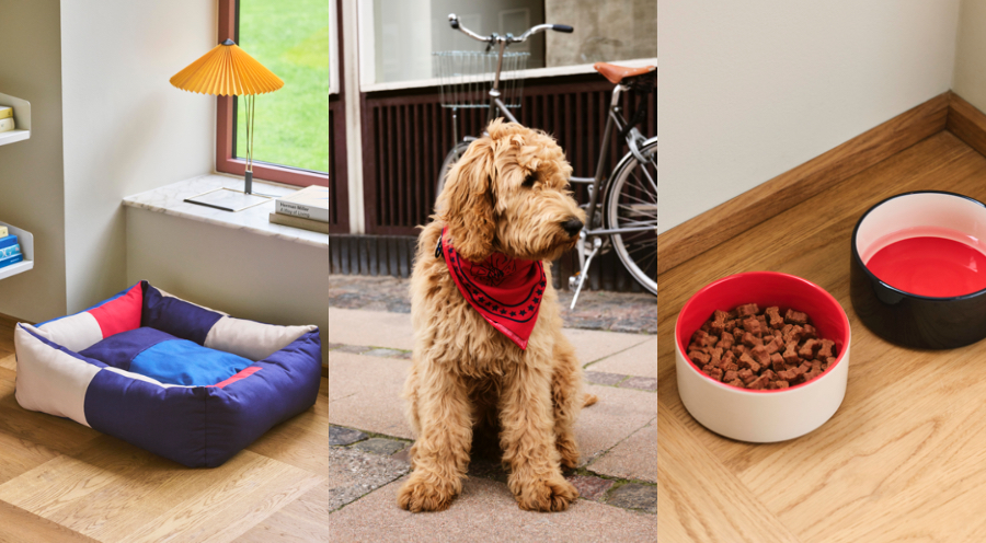 HAY推出寵物用品系列「HAY DOGS」!活潑色彩延續品牌風格、多種尺寸顏色讓每隻狗狗都適用 HAY推出寵物用品系列「HAY DOGS」!活潑色彩延續品牌風格、多種尺寸顏色讓每隻狗狗都適用