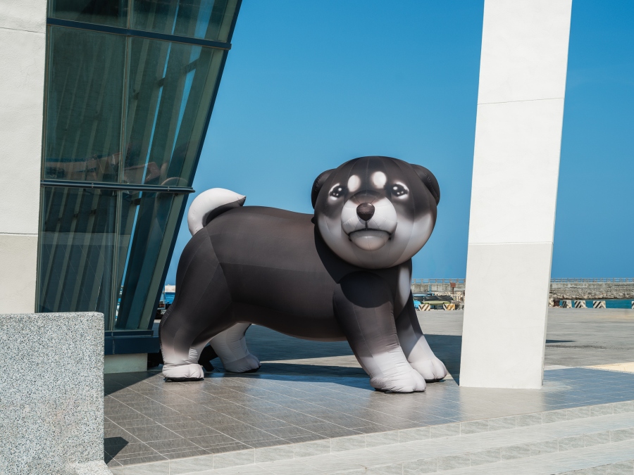 迴廊下躲避炙熱太陽的黑色柴犬寶寶。 迴廊下躲避炙熱太陽的黑色柴犬寶寶。
