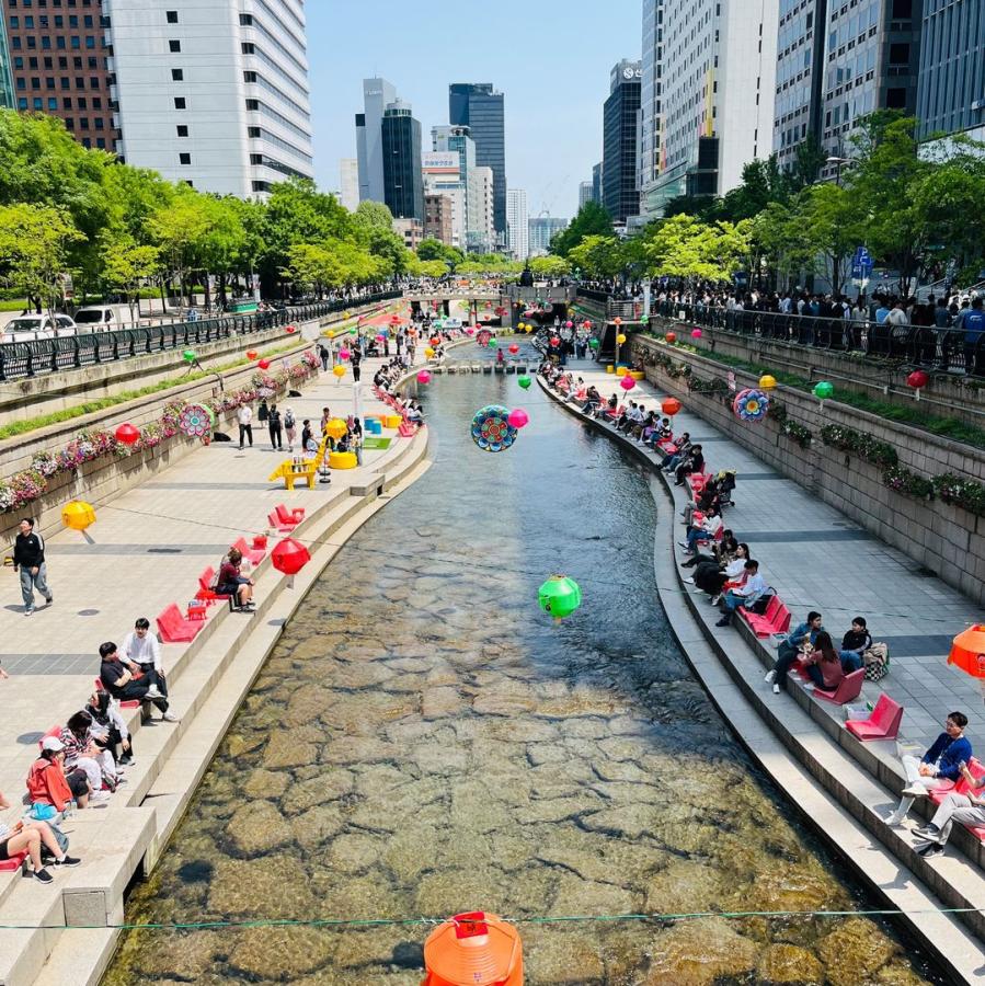 「首爾戶外圖書館」進駐清溪川！吹著夏日晚風，沉浸在自然與文化的悠閒時光
